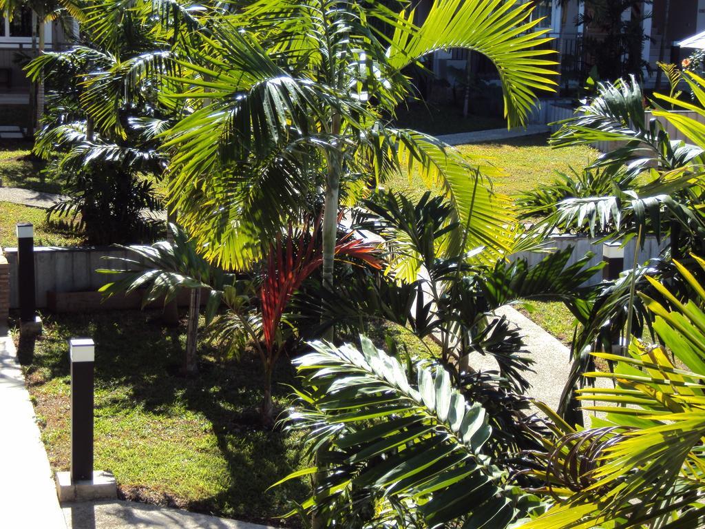 Hotel Colibri Kone Luaran gambar